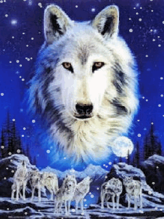 Animal Screensavers 0096